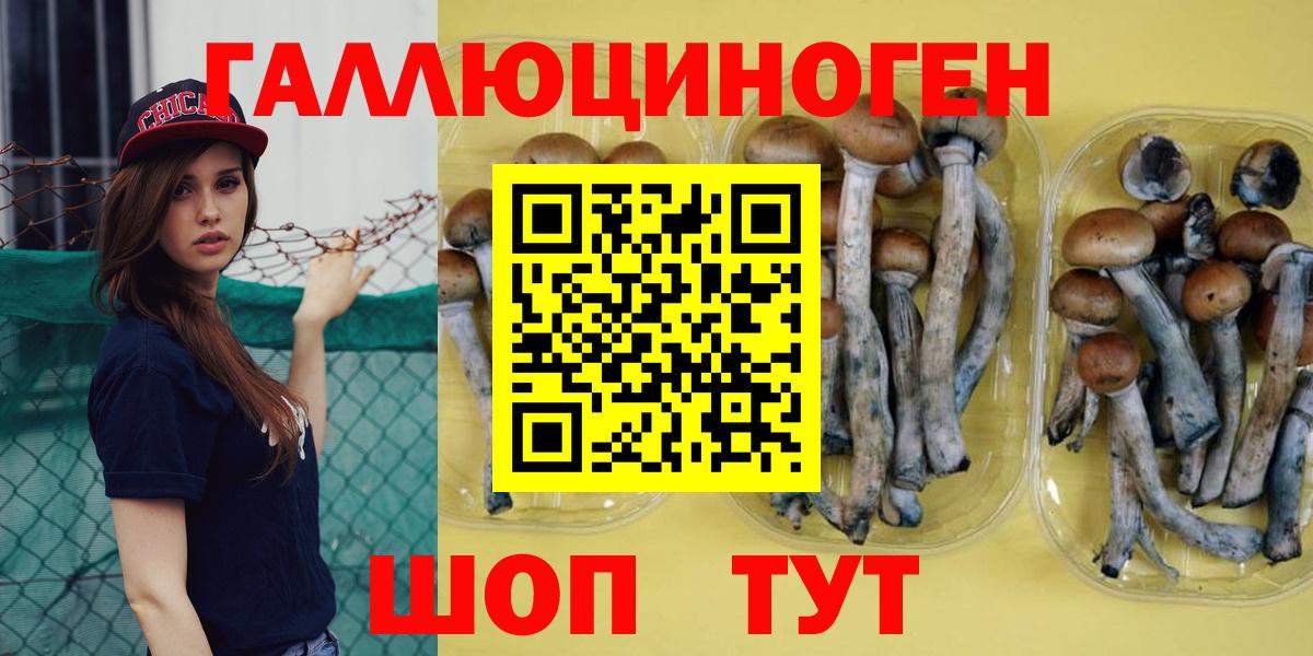 Псилоцибиновые грибы ЛСД Бузулук
